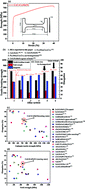 Graphical abstract: An as-cast high-entropy alloy with remarkable mechanical properties strengthened by nanometer precipitates