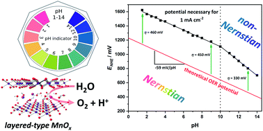 Graphical abstract: Carbon fibre paper coated by a layered manganese oxide: a nano-structured electrocatalyst for water-oxidation with high activity over a very wide pH range