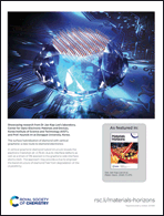 Graphical abstract: Inside back cover