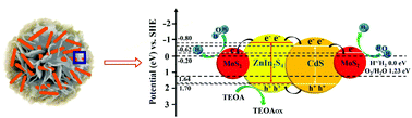 Graphical abstract: Facile in situ formation of a ternary 3D ZnIn2S4–MoS2 microsphere/1D CdS nanorod heterostructure for high-efficiency visible-light photocatalytic H2 production