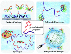 Graphical abstract: Pyridyl disulfide-based thiol–disulfide exchange reaction: shaping the design of redox-responsive polymeric materials