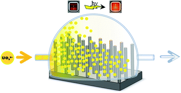 Graphical abstract: Ultrafast high-capacity capture and release of uranium by a light-switchable nanotextured surface