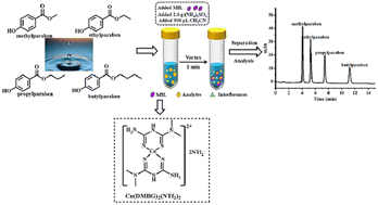 Graphical abstract: A new magnetic ionic liquid based salting-out assisted dispersive liquid–liquid microextraction for the determination of parabens in environmental water samples