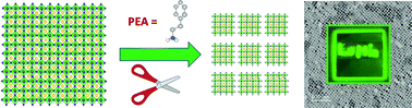 Graphical abstract: Synthesis of highly calibrated CsPbBr3 nanocrystal perovskites by soft chemistry