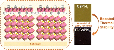 Graphical abstract: Clothing CsPbI3 perovskite in a robust phase-pure armor to boost the thermal stability