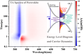 Graphical abstract: Ultrafast photoinduced carrier dynamics in single crystalline perovskite films