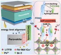 Graphical abstract: Elimination of charge accumulation by a self-assembled cocrystal interlayer for efficient and stable perovskite solar cells