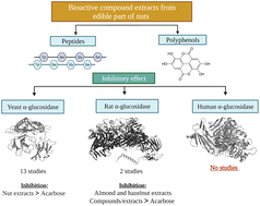 Graphical abstract: A systematic review of the inhibitory effect of extracts from edible parts of nuts on α-glucosidase activity