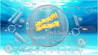Graphical abstract: Enzyme-mimicking single atoms enable selectivity control in visible-light-driven oxidation/ammoxidation to afford bio-based nitriles