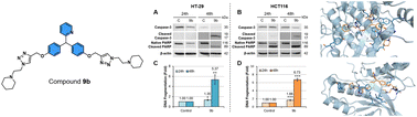 Graphical abstract: Colorectal anticancer activity of a novel class of triazolic triarylmethane derivatives
