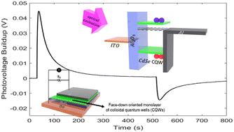 Graphical abstract: Light-sensitive monolayer-thick nanocrystal skins of face-down self-oriented colloidal quantum wells