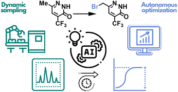 Graphical abstract: Dynamic sampling in autonomous process optimization