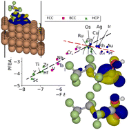 Graphical abstract: What can Blyholder teach us about PFAS degradation on metal surfaces?