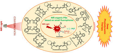 Graphical abstract: Recent advances in near-infrared organic photosensitizers for photodynamic cancer therapy
