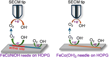 Graphical abstract: Probing the catalytic heterogeneity of single FeCo and FeCoNi hydroxide nanoneedles by scanning electrochemical microscopy