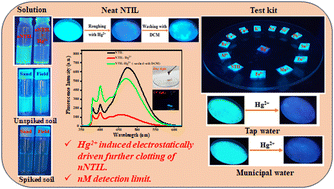 Graphical abstract: Hg(ii) causes photoluminescence quenching of pyrene inside a blue emitting ionic liquid-derived crystalline nanoball