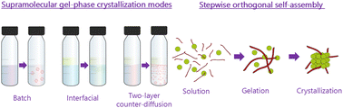Graphical abstract: Supramolecular gels: a versatile crystallization toolbox