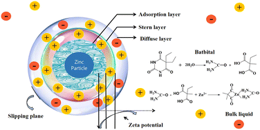 Graphical abstract: Barbital-derived chelating ligands for interface regulation and stabilization of Zn metal anodes for aqueous zinc-ion batteries