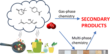 Graphical abstract: The impact of surfaces on indoor air chemistry following cooking and cleaning