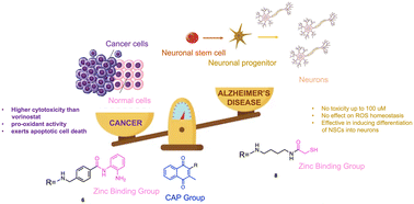Graphical abstract: Integrating a quinone substructure into histone deacetylase inhibitors to cope with Alzheimer's disease and cancer