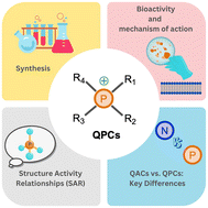 Graphical abstract: Recent developments in antimicrobial small molecule quaternary phosphonium compounds (QPCs) – synthesis and biological insights