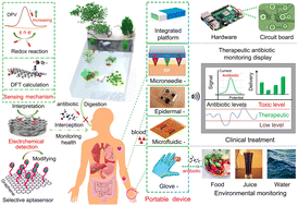 Graphical abstract: Graphene-based electrochemical sensors for antibiotics: sensing theories, synthetic methods, and on-site monitoring applications