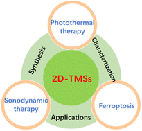 Graphical abstract: Biotechnology-assisted cancer therapy using metal sulfides based on their optical and thermophysical properties