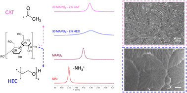 Graphical abstract: Inclusion of polysaccharides in perovskite thin films: from in-solution interaction to film formation and stability