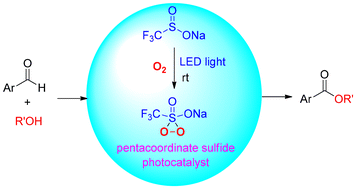 Graphical abstract: Sodium trifluoromethanesulfinate-mediated photocatalytic aerobic oxidative esterification of aromatic aldehydes and alcohols
