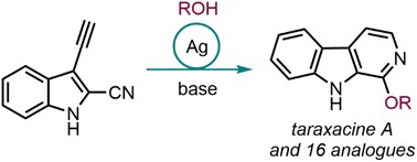 Graphical abstract: Total synthesis of the taraxacine A natural product via Ag(i)-catalysed imidate-alkyne cyclization