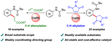 Graphical abstract: Cp*Co(iii)-catalyzed ortho-alkylation/alkenylation of anilides