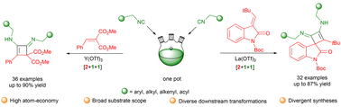 Graphical abstract: Syntheses of highly functionalized cyclobutenes via [2 + 1 + 1] cycloaddition of isocyanides and an unprecedented ring expansion