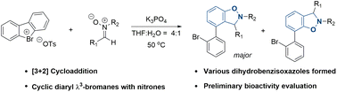 Graphical abstract: [3 + 2] cycloaddition between cyclic diaryl λ3-bromanes and nitrones towards the formation of dihydrobenzisoxazoles and an evaluation of regioisomeric bioactivity