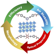 Graphical abstract: Addressing ambient stability challenges in pure FASnI3 perovskite solar cells through organic additive engineering