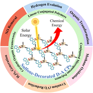 Graphical abstract: Structural regulation of sulfone-decorated conjugated polymers for boosting photocatalysis