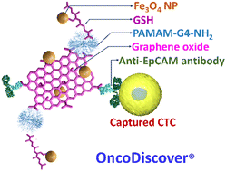 Graphical abstract: A multicomponent nanosystem for capturing circulating tumor cells from cancer patients with PD-L1 as an immunotherapy oncotarget