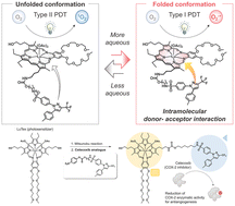 Graphical abstract: Breakthrough in cancer therapy: lutetium texaphyrin–celecoxib conjugate for immune and photodynamic treatment