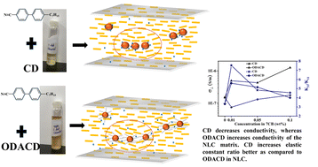 Graphical abstract: Tuning liquid crystal properties with 0D carbon dots: exploring the impact of functionalization of carbon dots