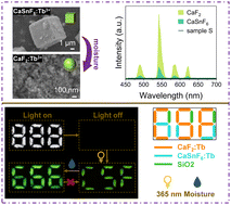 Graphical abstract: Water-triggered optical response in Tb3+-doped CaSnF6 crystals for high-security anti-counterfeiting application