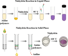 Graphical abstract: A novel method of solid state ninhydrin reaction and its application in the quantification of oil-soluble amine polymers