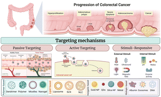 Graphical abstract: Next-generation nanocarriers for colorectal cancer: passive, active, and stimuli-responsive strategies for precision therapy