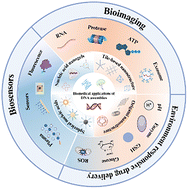 Graphical abstract: Advances in programmable DNA nanostructures enabling stimuli-responsive drug delivery and multimodal biosensing