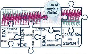 Graphical abstract: Raman optical activity of amyloid fibrils: a distinctive chiroptical phenomenon beyond resonance