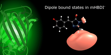 Graphical abstract: Dipole-bound states in the meta form of the green fluorescent protein chromophore observed by cryogenic action spectroscopy