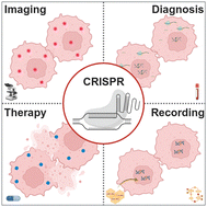 Graphical abstract: In vivo CRISPR biosensing