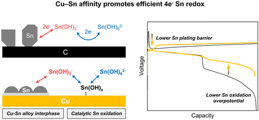 Graphical abstract: Cu substrate as a bi-directional kinetic promoter for high-efficiency four-electron Sn aqueous batteries