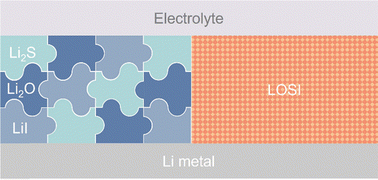 Graphical abstract: Thermoresponsive solid electrolyte interphase enables safe lithium–sulfur batteries with high energy density