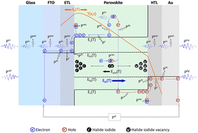 Graphical abstract: On the role of thermo-electro-ionic dynamics in hysteresis and transient performance of perovskite solar cells