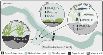 Graphical abstract: A first run-of-river hydropower plant development in a permafrost-rich subarctic Canadian region: short-term fate of mercury and carbon