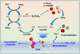 Graphical abstract: Degradation of antibiotic fosfomycin by peroxymonosulfate/ferrate and simultaneous phosphate removal with in situ formed ferric nanoparticles